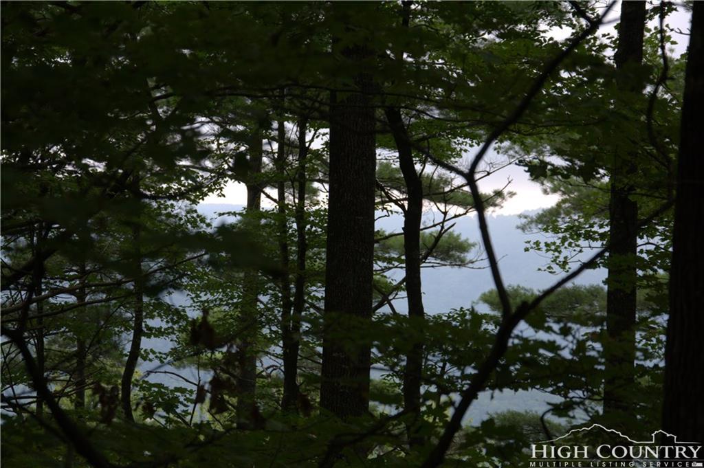TBD Phillips Gap Road - Photo 1