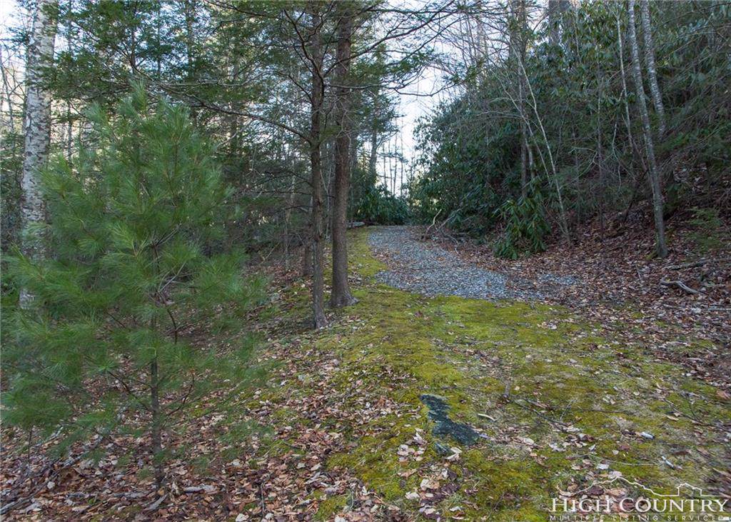 Lot #1 Penley Branch Lane - Photo 1