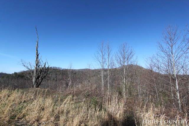 Lot 12 Pleasant View Drive - Photo 1