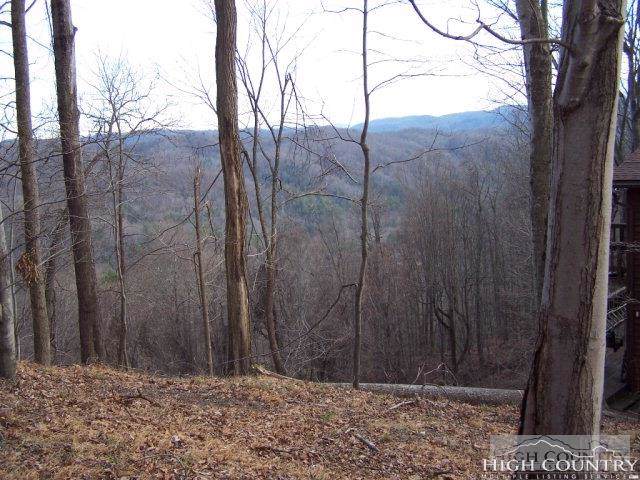 Tbd Grousemoor Road - Photo 1