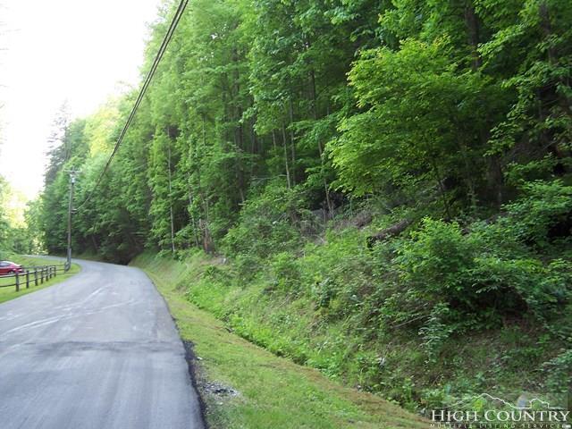 Tbd Powder Horn Mountain Road - Photo 1