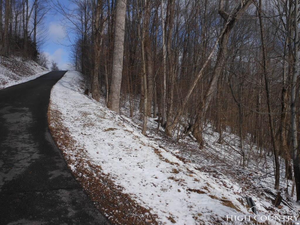 Lot 4 Hallelujah Trail - Photo 1
