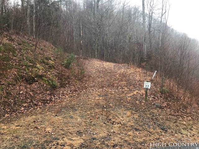 TBD Big Rock Drive - Photo 1