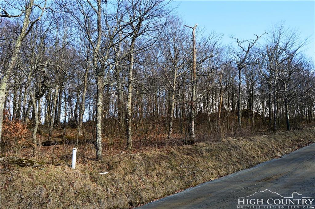 Lot 2 Pinnacle Ridge Road - Photo 1