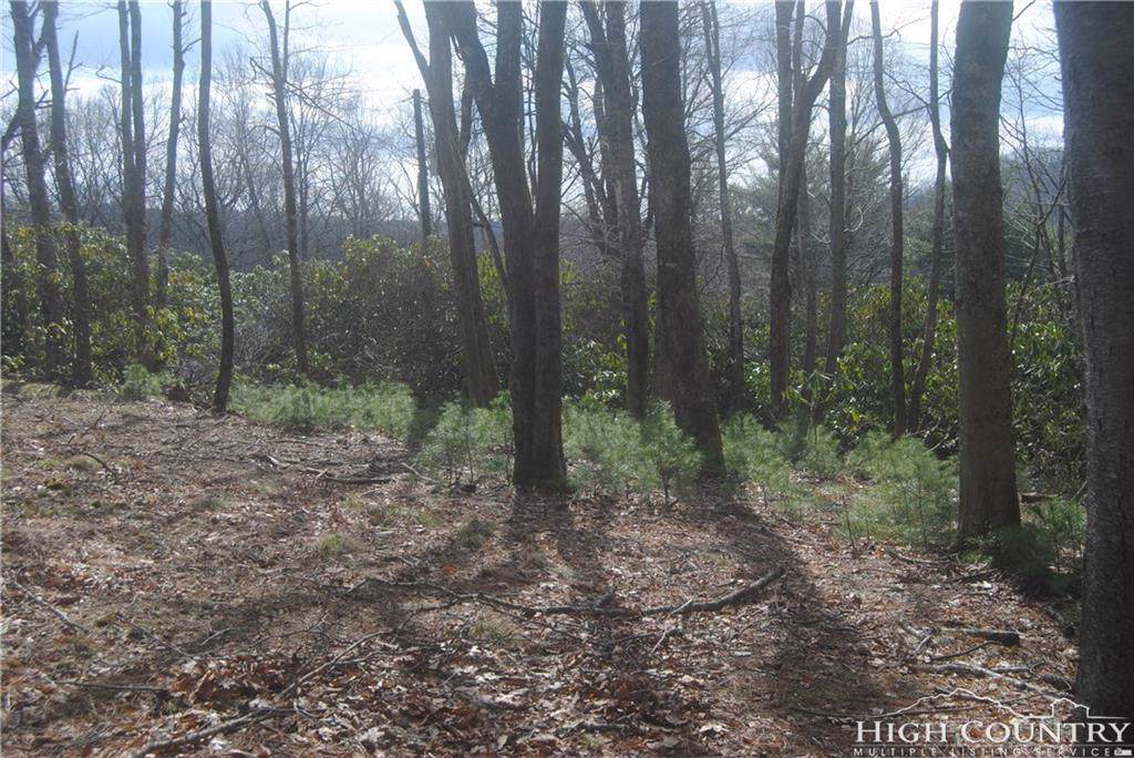 Tract 6 Hiview Drive - Photo 1