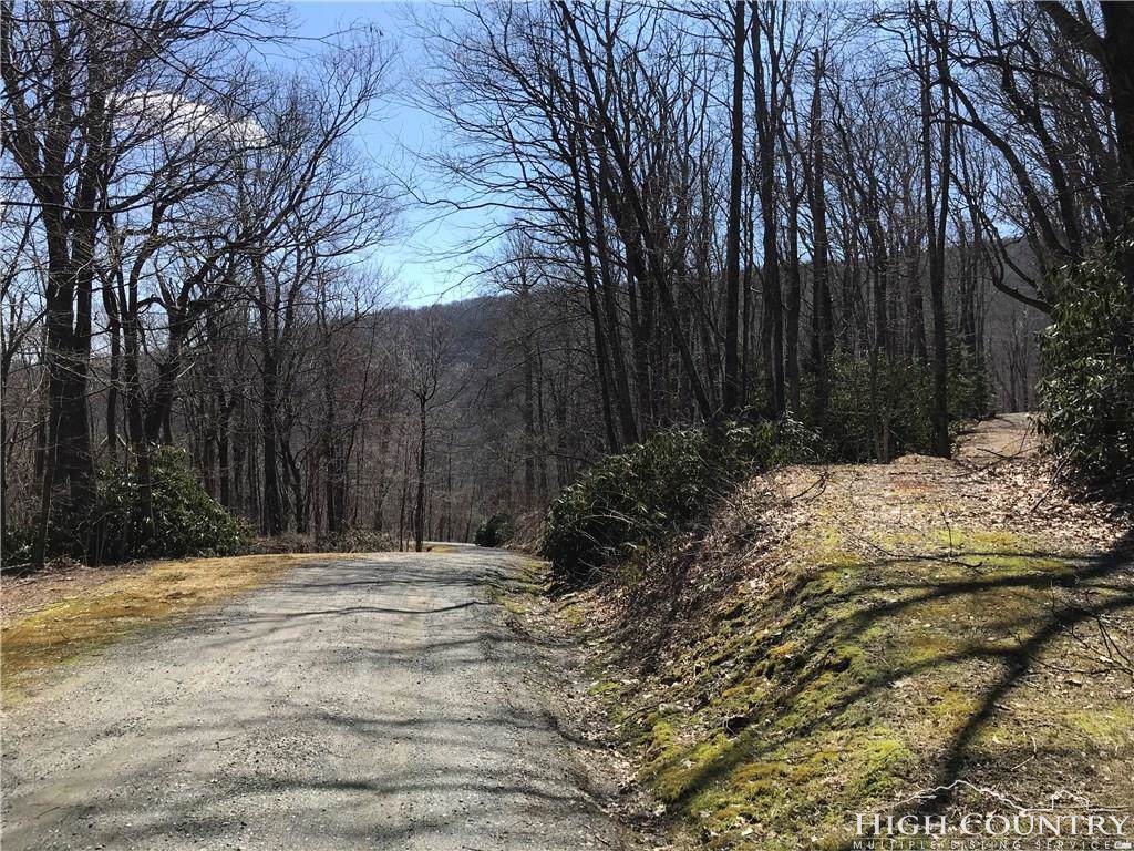 30,31,32,50,51 C/W Snowy Ridge Way - Photo 1