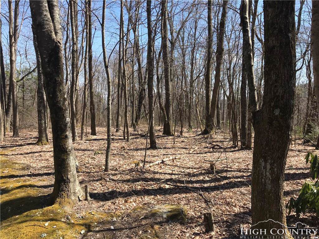 15,16,17,18,19 C/W Hemlock Ridge Road - Photo 1