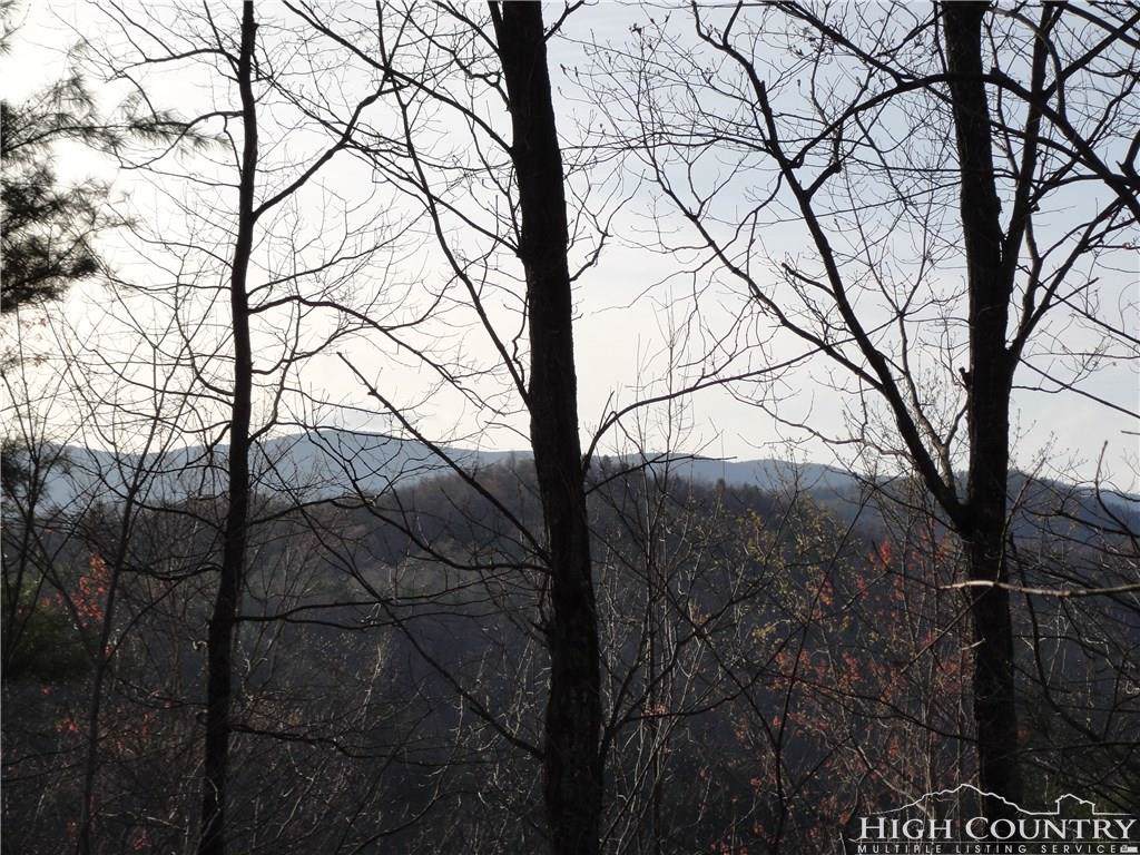 Lot 141 Hickory Hollow Road - Photo 1