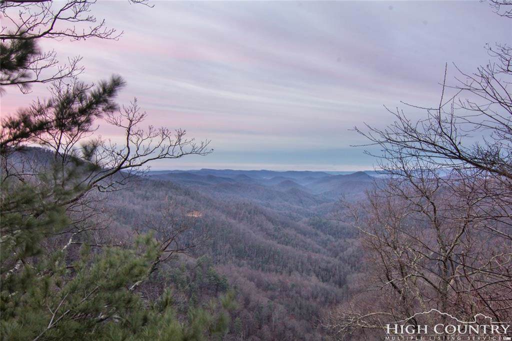 TBD Sheets Gap Road - Photo 1