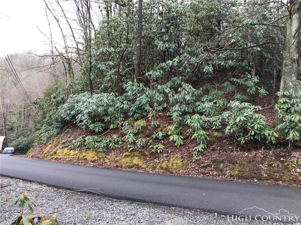 TBD Laurel Ridge Road - Photo 1
