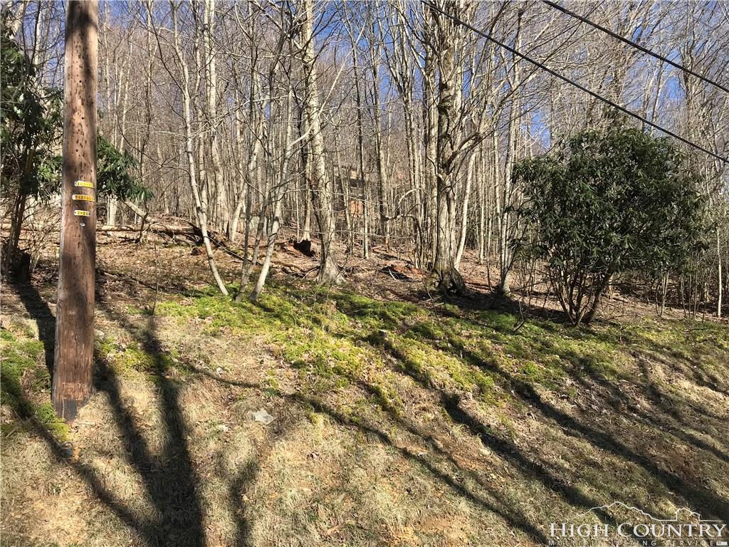 265 Greenbriar Road - Photo 1