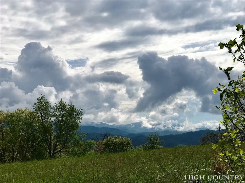 TBD Old Beech Mountain Road - Photo 1