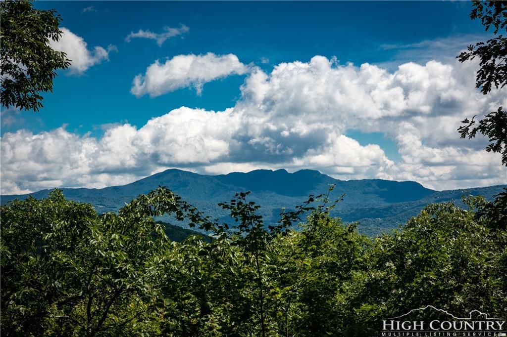 L-17 Lodge Woods Trail - Photo 1