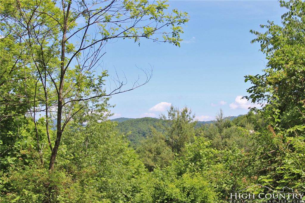 Lot 9 Chenoa Creek - Photo 1