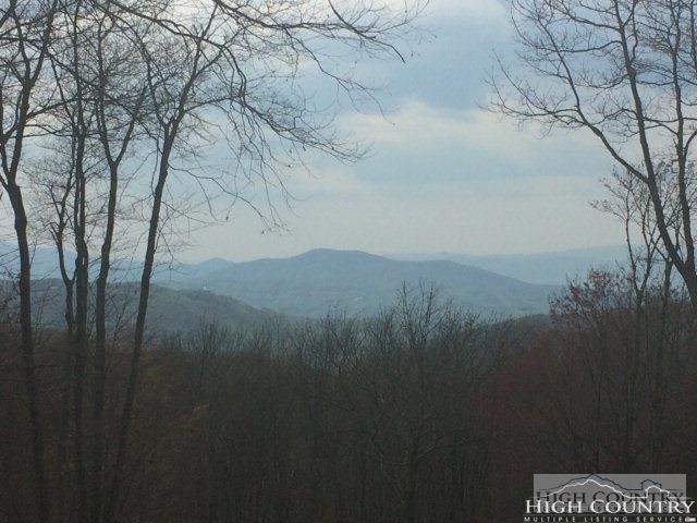 Lot 26 Rocky Parkway - Photo 1