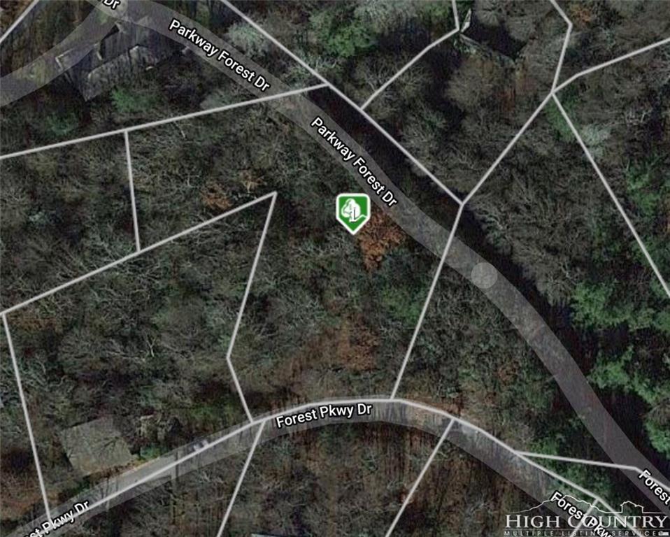 TBD Parkway Forest Drive - Photo 1