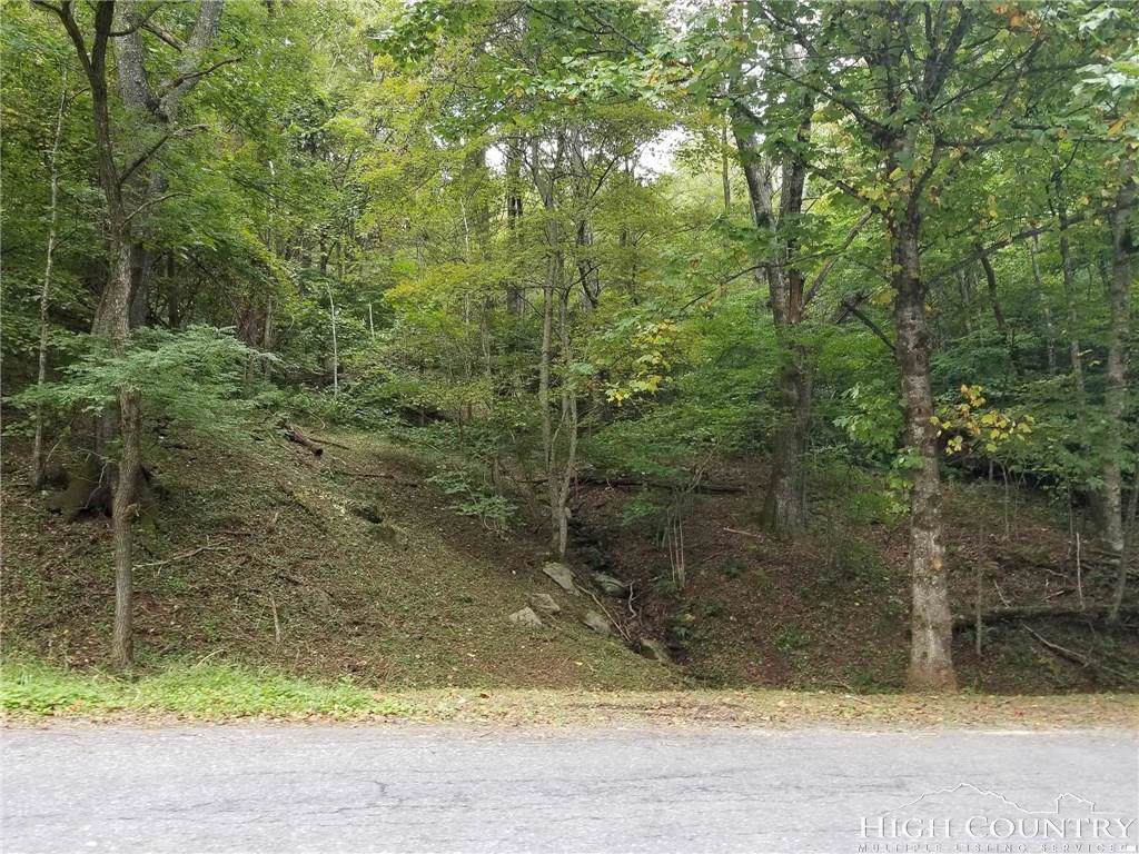 Tract 2 Holly Lane - Photo 1