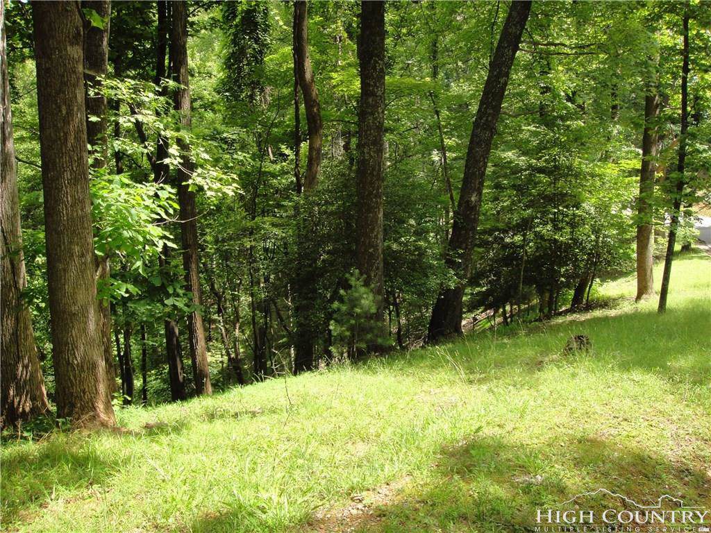 Lot 46 Deer Run Road - Photo 1