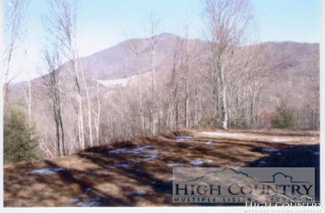 TBD Hwy 88/194 - Photo 1