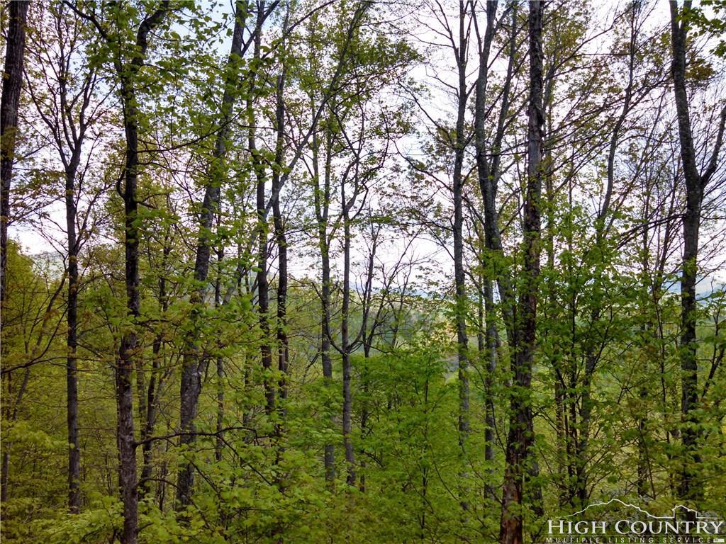 Lot 8 Cielo Road - Photo 1