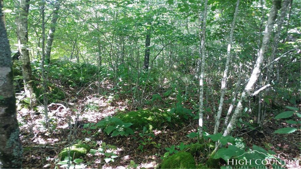 327 Pinnacle Ridge Road - Photo 1