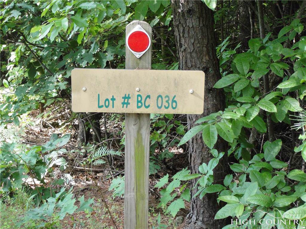 Lot 36 Bobcat Mountain Road - Photo 1