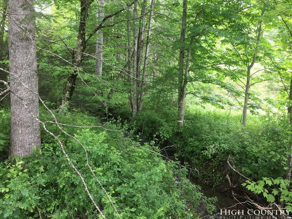 521 Clint Norris Road - Photo 1