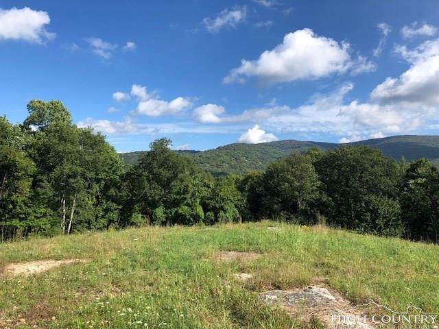 F13 High Valley Overlook - Photo 1