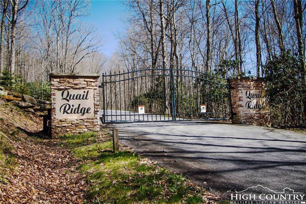 TBD Lot 31 Quail Ridge Drive - Photo 1