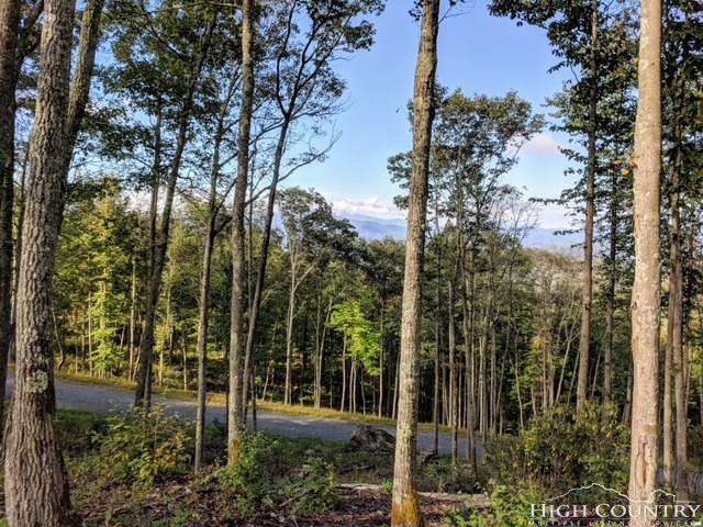 S38 Eagles Nest Trail - Photo 1