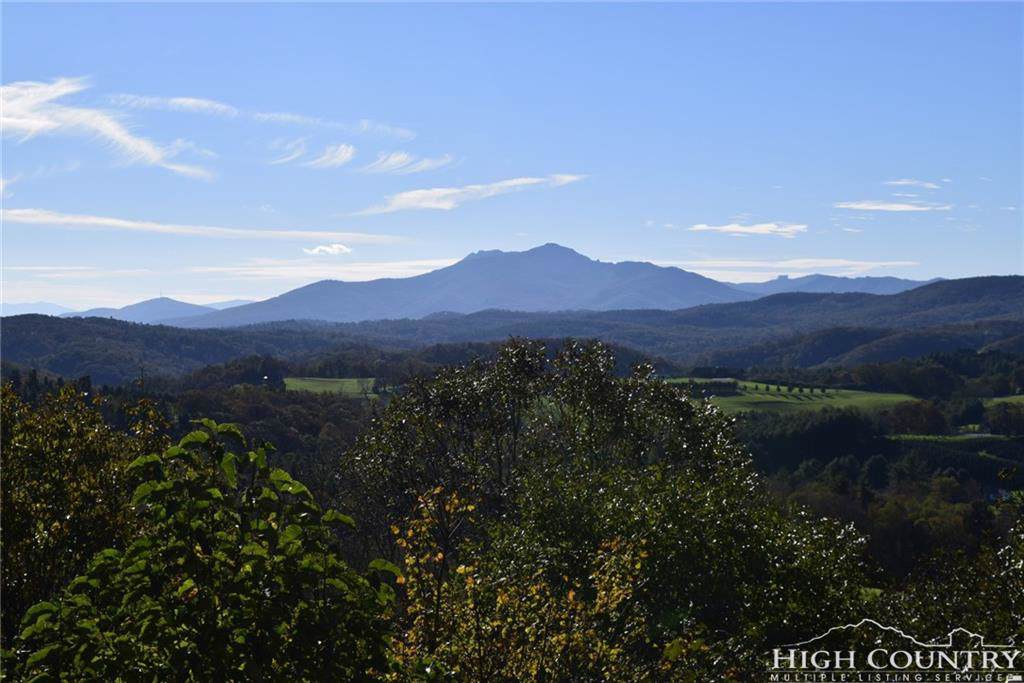 TBD Lot 4-4 Laurel Hill Drive - Photo 1