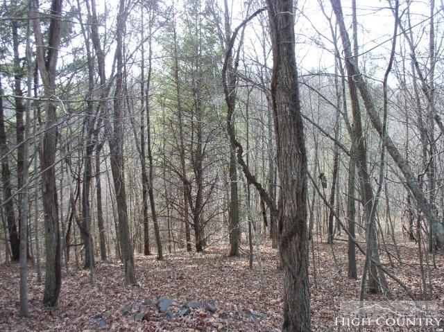 Lot 19 Sanctuary Drive - Photo 1