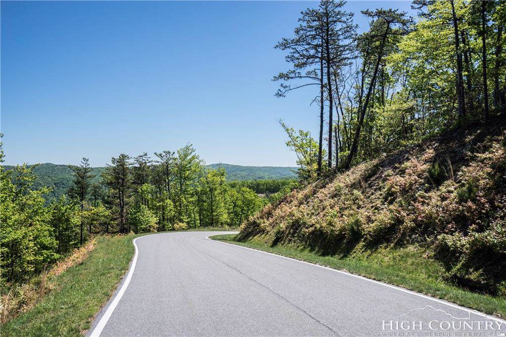 Lot 177 Marigold Roads - Photo 1
