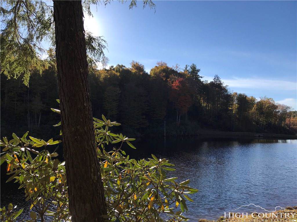 LL4 Woodlake Loop Road - Photo 1