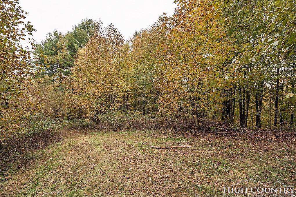 3758 (Lot 7) Rush Branch Road - Photo 1