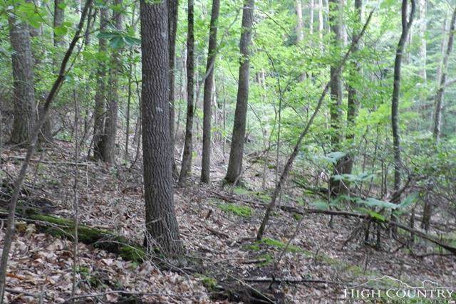 204 Jackpine Road - Photo 1