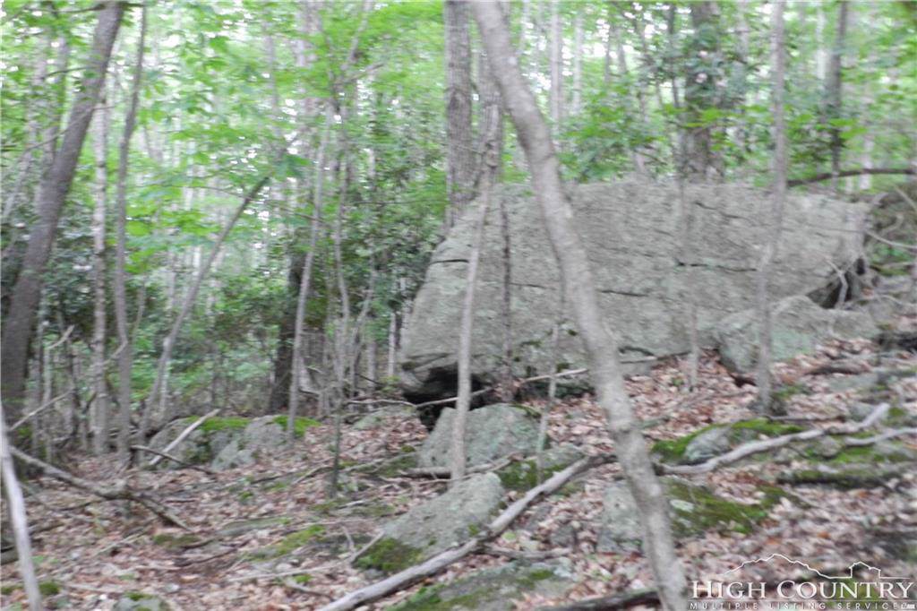 204.6.8 Jackpine Road - Photo 1