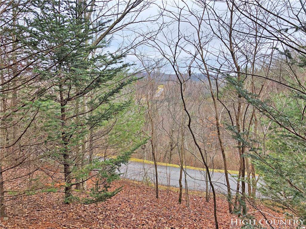 Lot 137 Indrio Road - Photo 1
