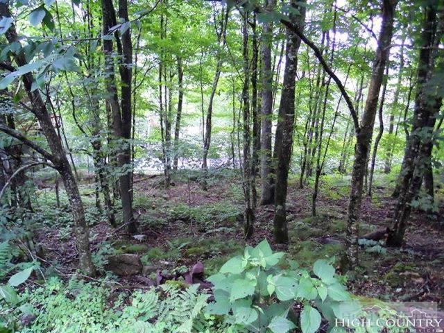 TBD Slopeside Road - Photo 1