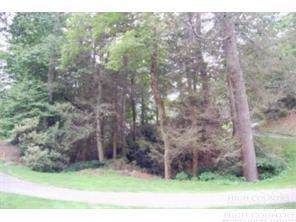 339 Laurel Brook Road - Photo 1