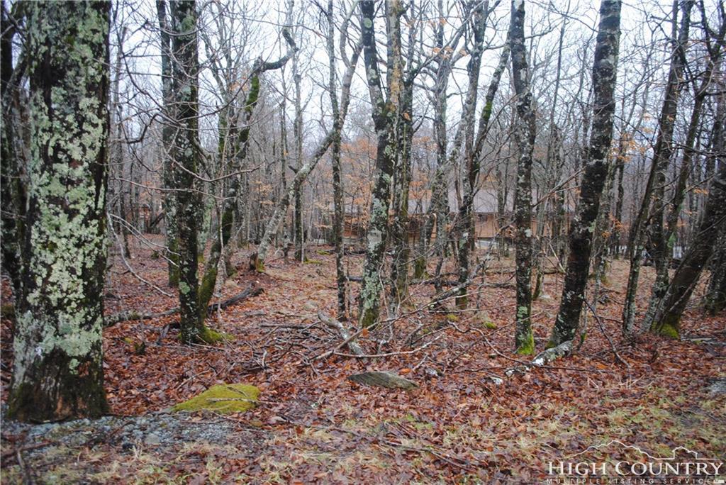 108 Pinnacle Ridge Road - Photo 1