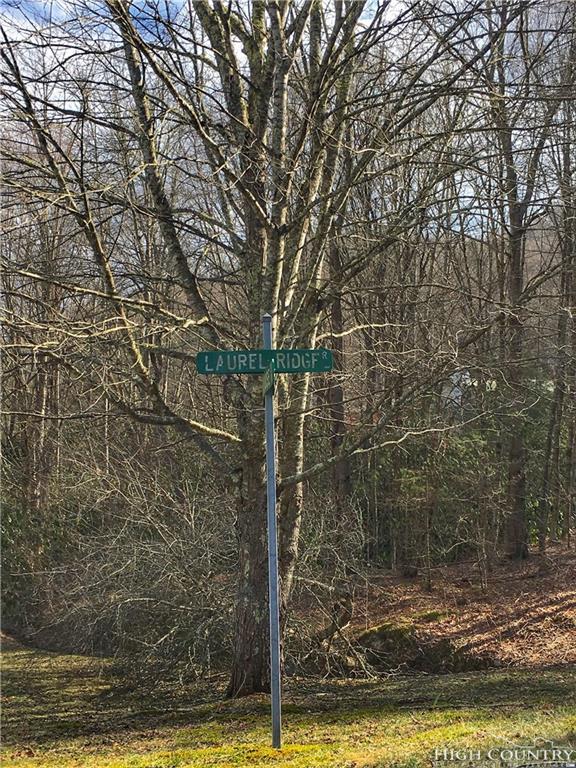 tbd Laurel Ridge Road - Photo 1