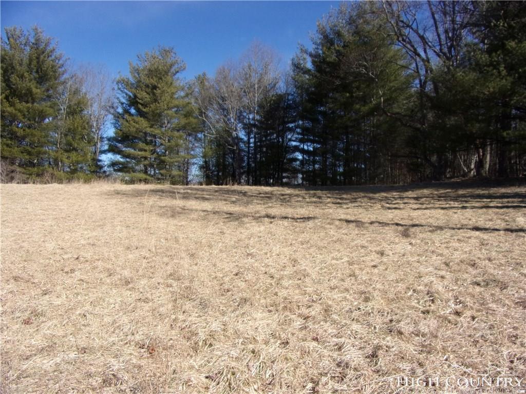 TBD Lot # 2 Sessums Lane - Photo 1