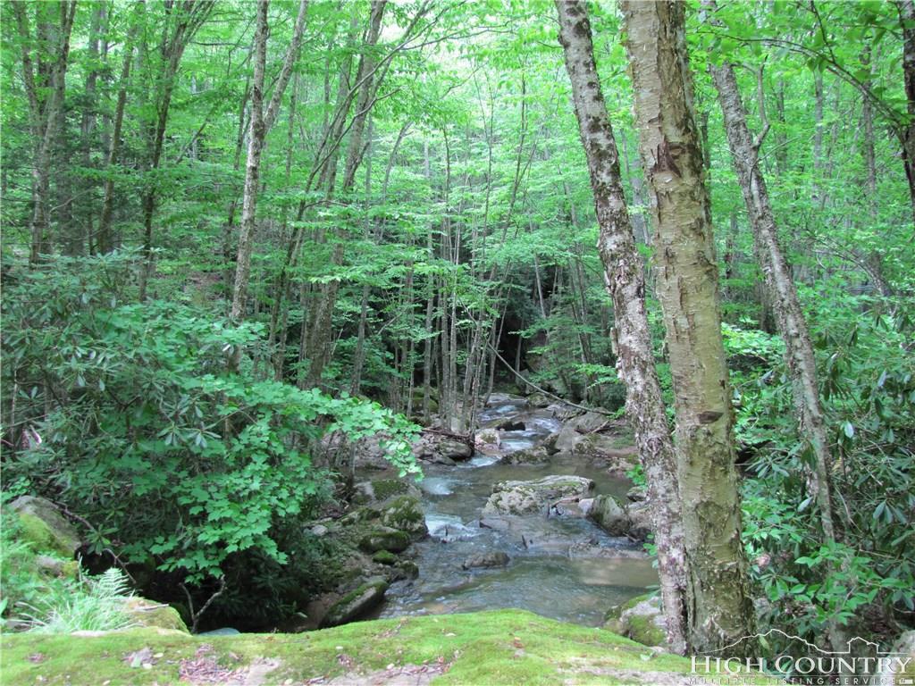 361 Locust Ridge Road - Photo 1