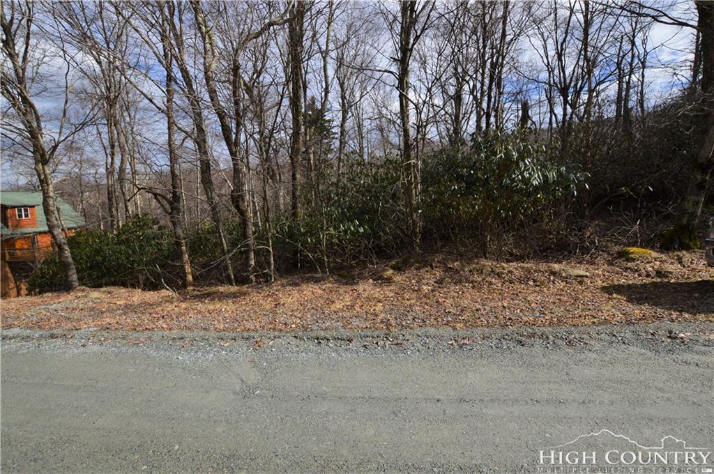 112 Blueberry Lane - Photo 1