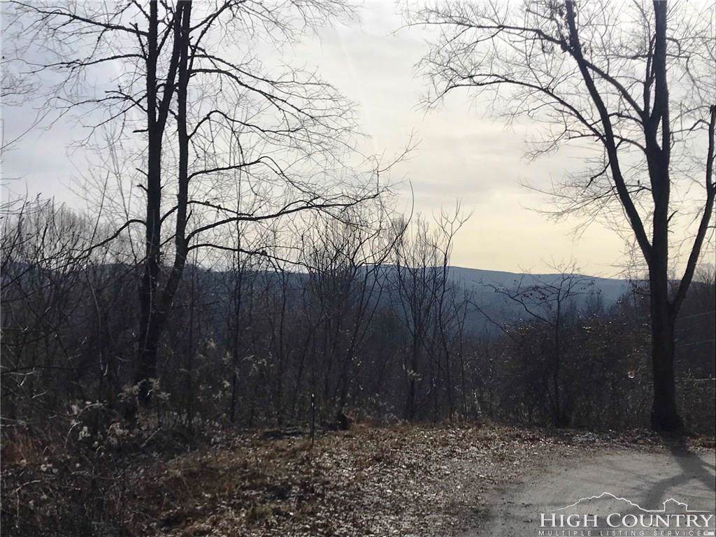 tbd Timber Ridge Road - Photo 1