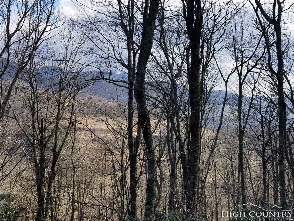 TBD Horse Bottom Road - Photo 1