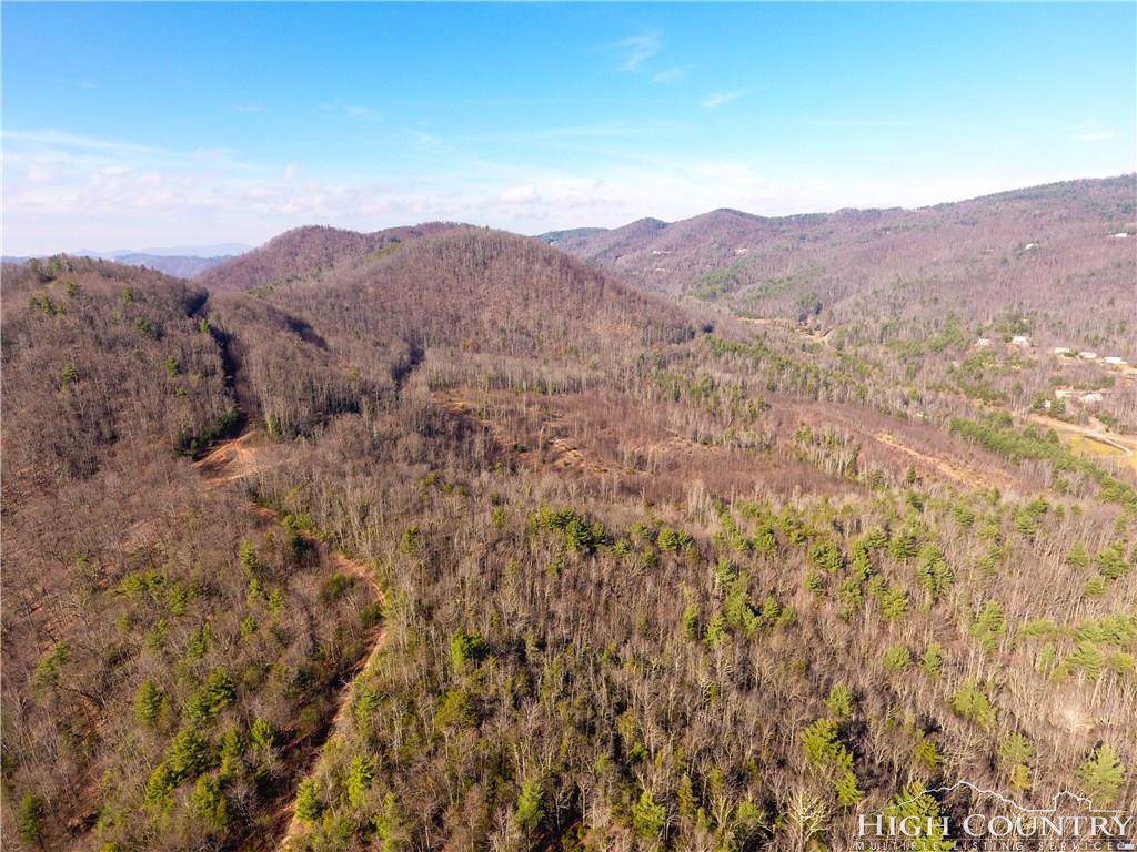 TBD Wildcat Road - Photo 1