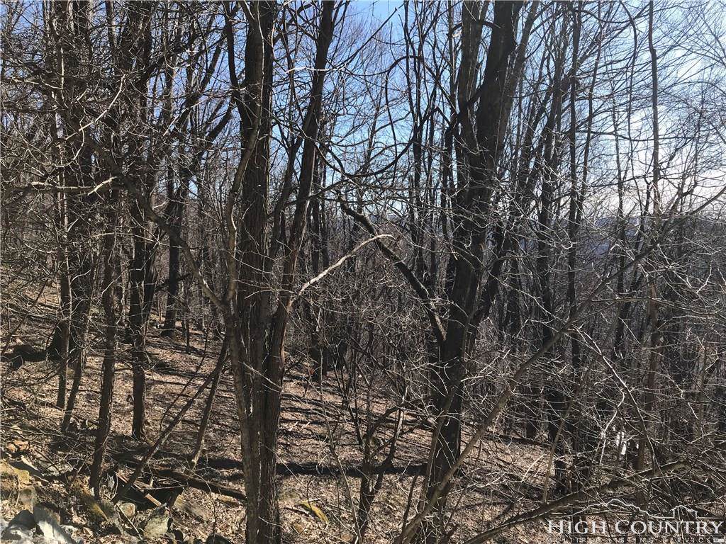 TBD Devils Lake Drive - Photo 1