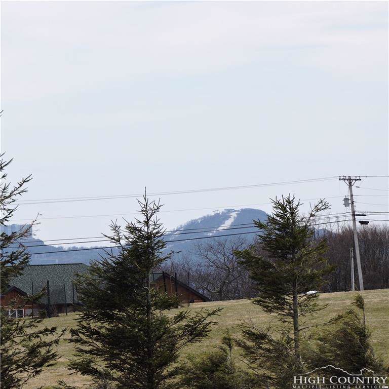 301 Pinnacle Inn Road - Photo 1